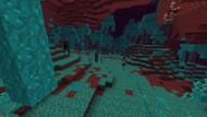 Warped Forest (Image via Minecraft)